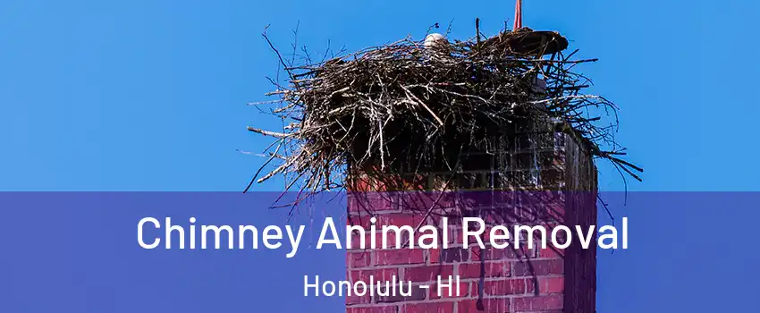  Chimney Animal Removal Honolulu - HI