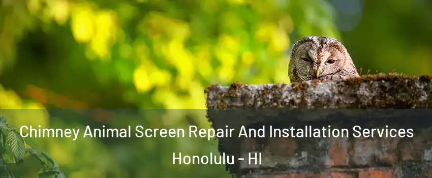  Chimney Animal Screen Repair And Installation Services Honolulu - HI