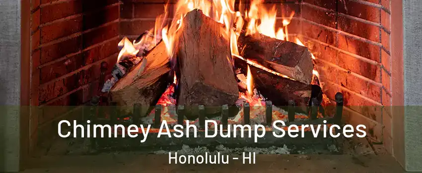  Chimney Ash Dump Services Honolulu - HI