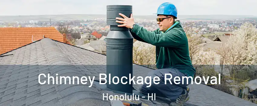  Chimney Blockage Removal Honolulu - HI