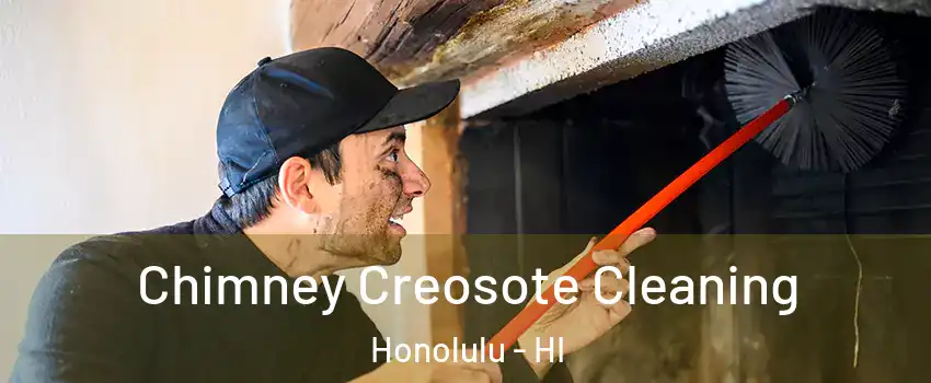  Chimney Creosote Cleaning Honolulu - HI