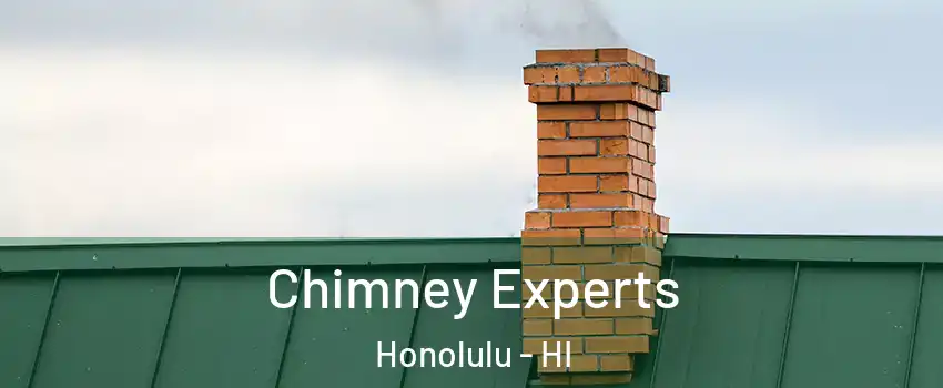  Chimney Experts Honolulu - HI