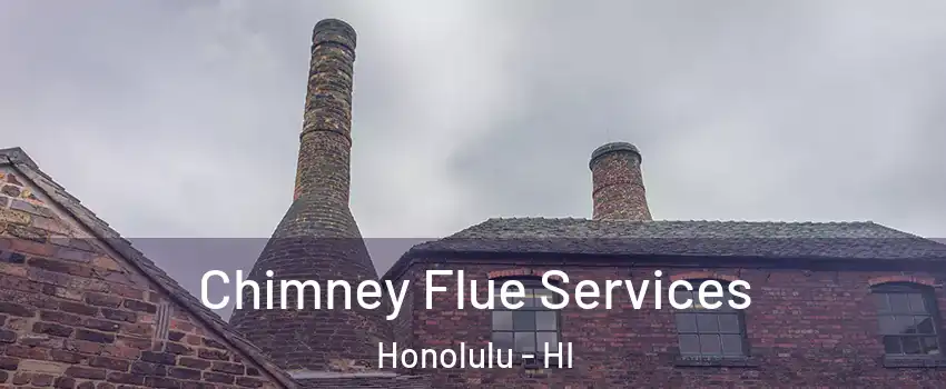  Chimney Flue Services Honolulu - HI