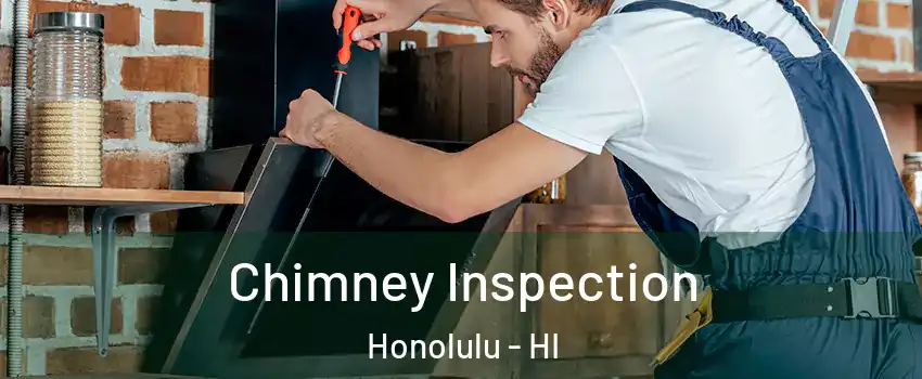  Chimney Inspection Honolulu - HI