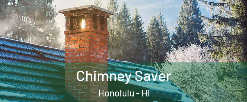  Chimney Saver Honolulu - HI