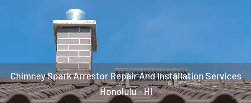  Chimney Spark Arrestor Repair And Installation Services Honolulu - HI