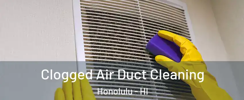  Clogged Air Duct Cleaning Honolulu - HI