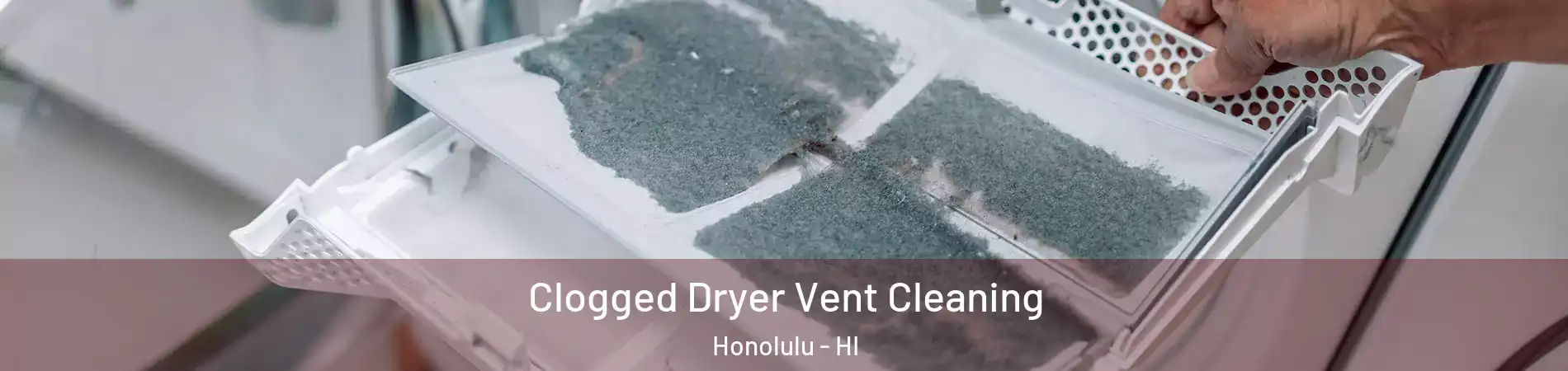  Clogged Dryer Vent Cleaning Honolulu - HI