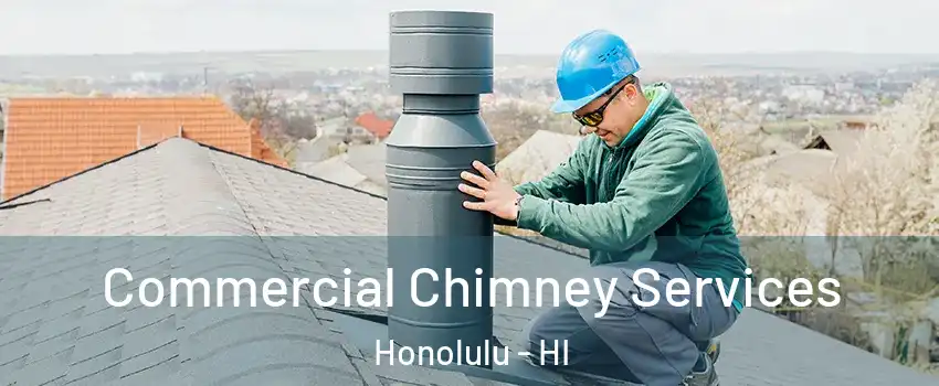  Commercial Chimney Services Honolulu - HI