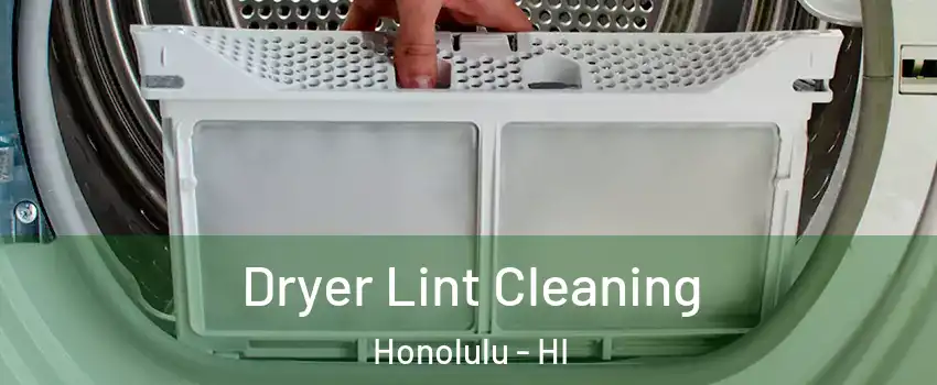  Dryer Lint Cleaning Honolulu - HI