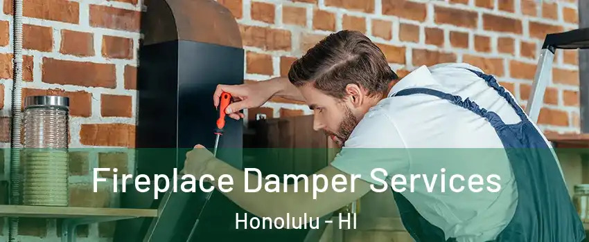  Fireplace Damper Services Honolulu - HI