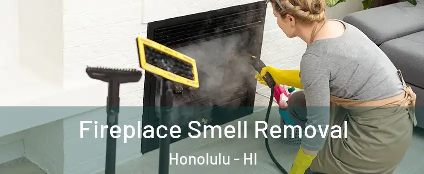  Fireplace Smell Removal Honolulu - HI