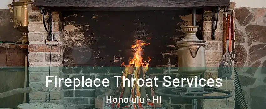  Fireplace Throat Services Honolulu - HI