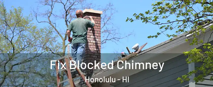  Fix Blocked Chimney Honolulu - HI