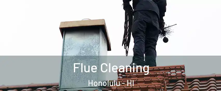  Flue Cleaning Honolulu - HI