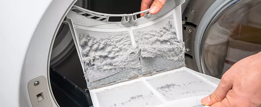 Best Dryer Lint Removal Company in Honolulu, Hawaii
