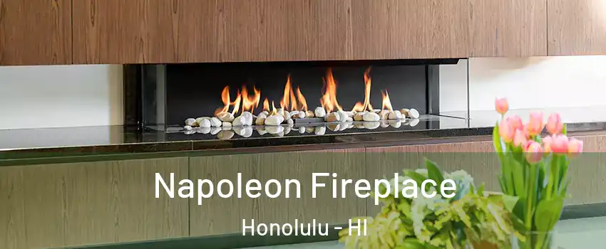  Napoleon Fireplace Honolulu - HI