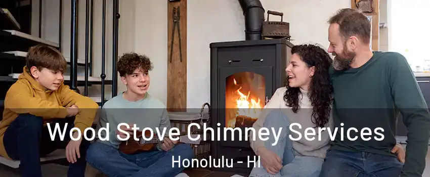  Wood Stove Chimney Services Honolulu - HI